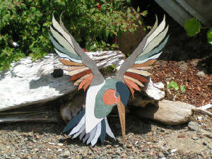 Hummingbird in flight